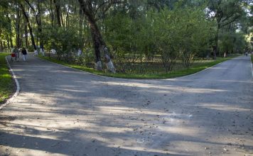 公园遭2人拖走侵犯 少女拍下「3分钟惊悚过程」