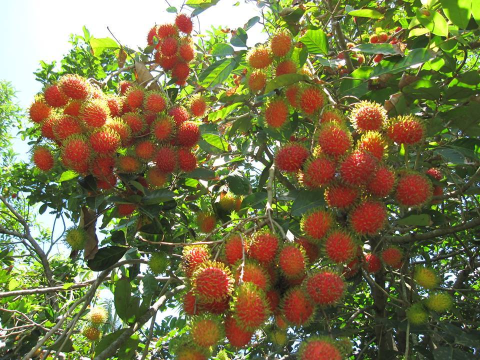 48395771_909981672540001_1210773253795086336_n