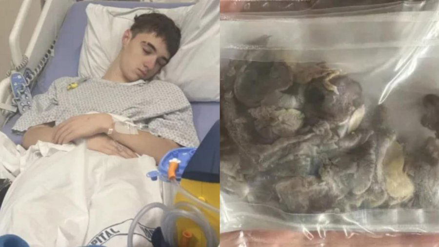 7924b6f4044ebb5aec83164c727611d6