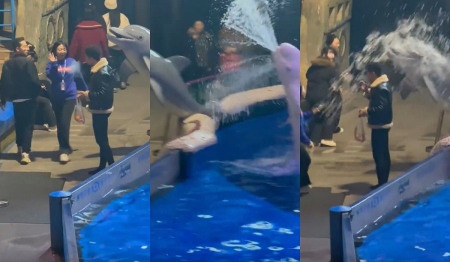 8c248bfd792b861172286fea70ef14fd