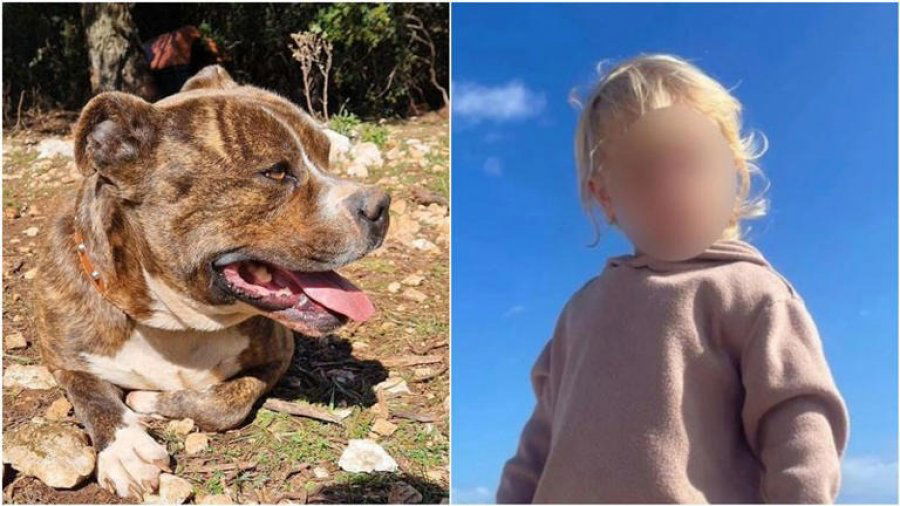 967e86cd7999a0cd50cbd15532b1b401