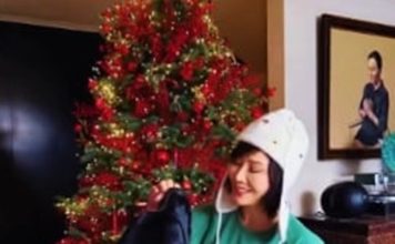 圣诞气氛拉满 刘嘉玲家中巨型圣诞树抢镜