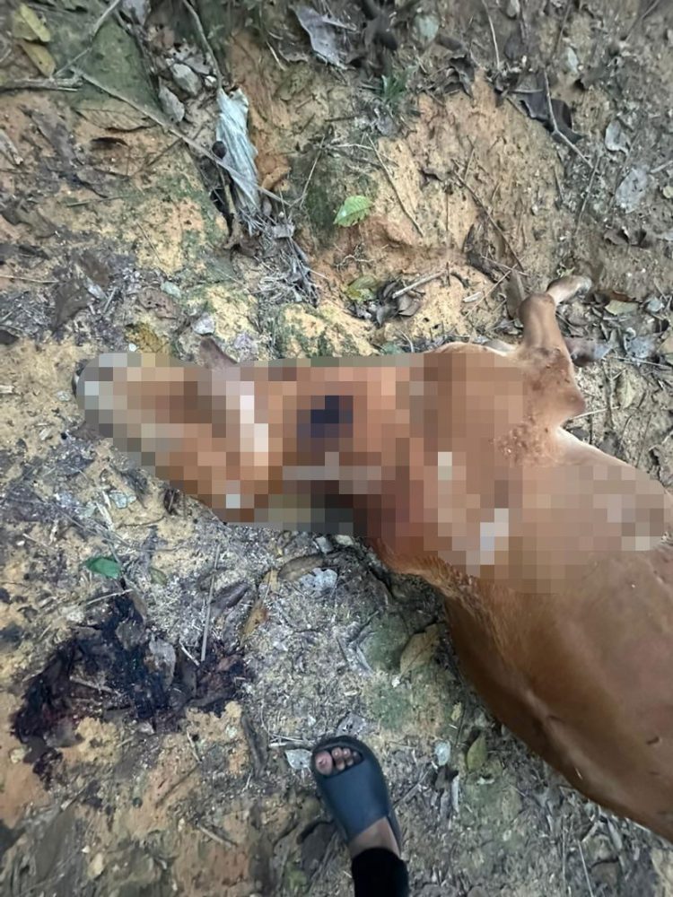 WhatsApp_Image_2025-12-06_at_2.19.58_PM