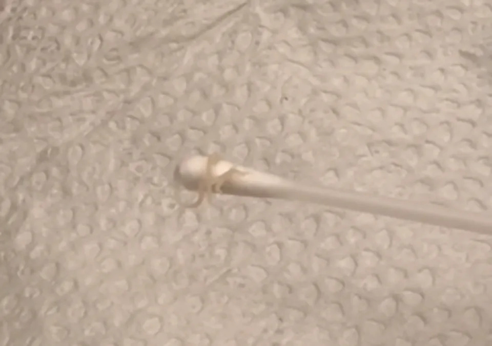 bc3ba6b0af162bc7dbdaf99c139381ac