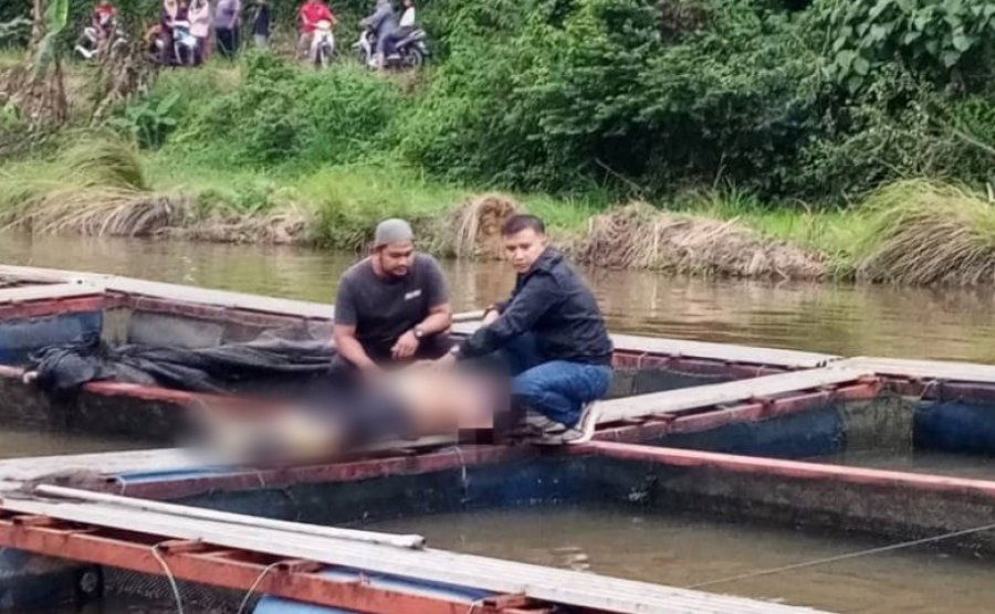 bc573a228a0cbb6d4489d6fed0ff67ea