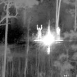 大喊“鳄鱼都饿了” 父子受困「鳄鱼沼泽」求救