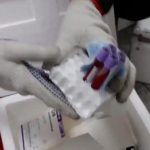 5个月狂赚450万令吉 走私孕妇血样集团遭覆灭