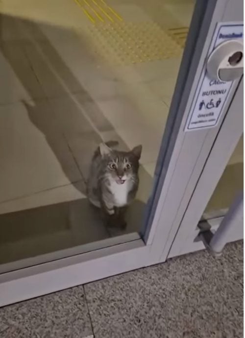 e4bba5e4b8bae8bf9be8b4bce58e9fe69da5e698afe5ae83efbc81e78cabe592aae8afafe997afe993b6e8a18ce8ada6e59198e2809ce68ab1e7b4a7e5a484e79086