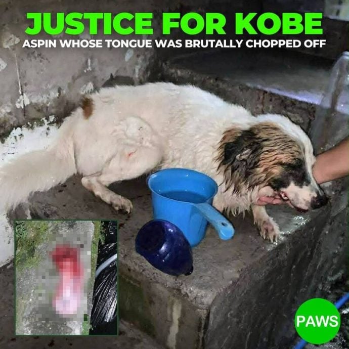 e68b9ae59bbee88fb2e5be8be5aebee59c9fe78b97e981ade589b2e8888ce5bc95e585ace684a4e38080e5ae98e59198e682ace8b58f5e4b887e58583e7bc89e587b6