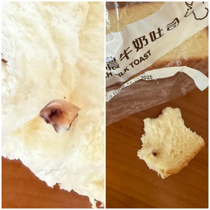 e7899be5a5b6e99da2e58c85e6838ae78eb0e79691e4bcbce78999e9bdbfefbc9f-e88081e4babae5aeb6e59195e4ba86e4b880e695b4e5a4a9e69c89e998b4e5bdb1