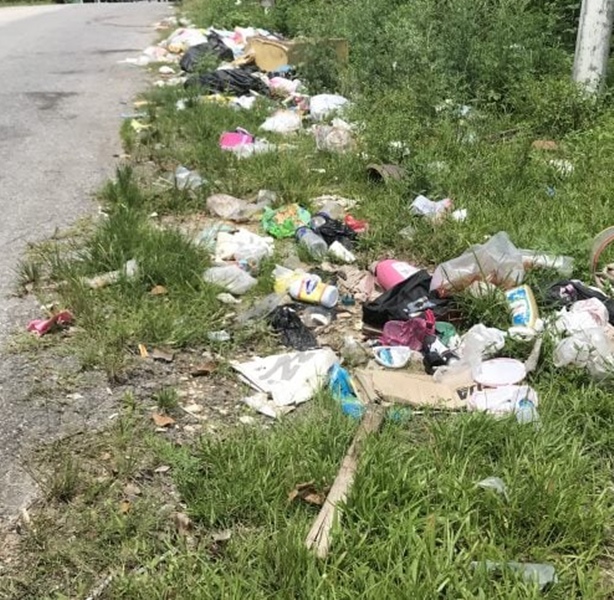 e7bd97e6809de4b989efbc9ae4b9b1e4b8a2e59e83e59cbee99abee999a4e6b0b4e682a3-e4b8bee68aa5e59e83e59cbee899abe58fafe5be97e68aa5e985ac-1_marked1715079065