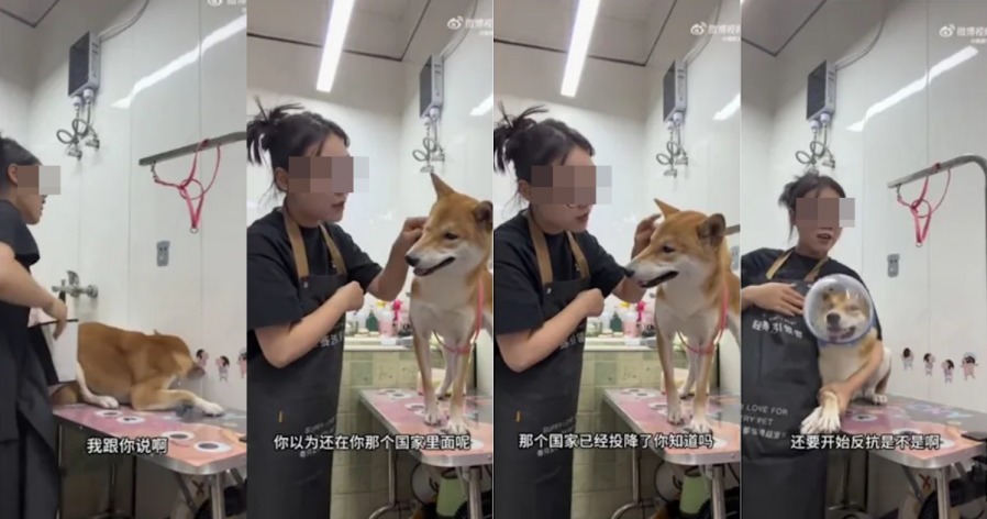 f943fa234e5598a0bcda9088cda2fabd