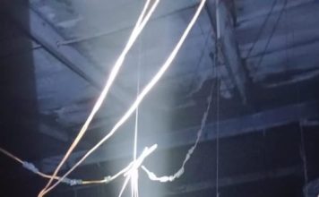 养鸡场惊传大火 逾7000只鸡变烤鸡