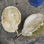 RM15买坏榴梿遭拒换 阿叔报警引摊贩冲突