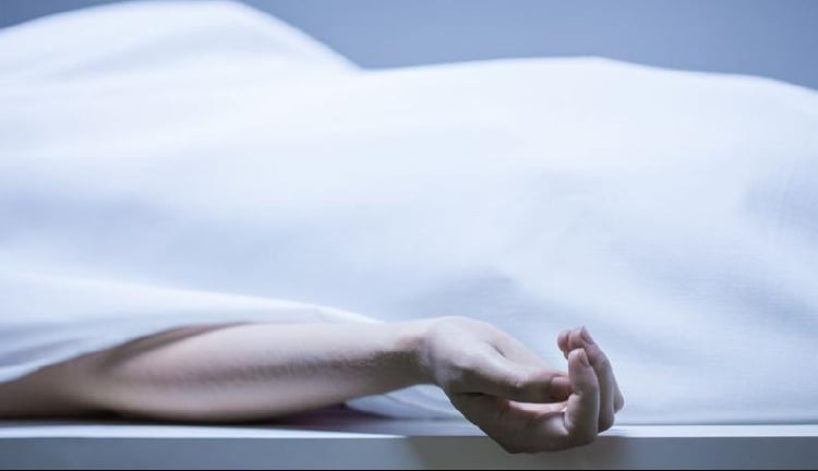 t2_(0X50X594X392)65c80b2d-902a-4b3d-ac06-f401575dc36d1690e339-c691-4387-85b8-d265bb7520bd