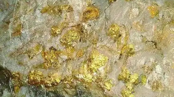 v2-73292c73fbf8482ddbbf962197a27d6f_1440w