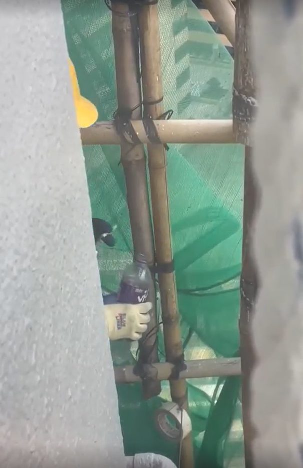 屏幕截图 2025-12-01 190043