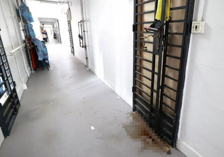 014c92351c8836b9660a40a1a53aec2f