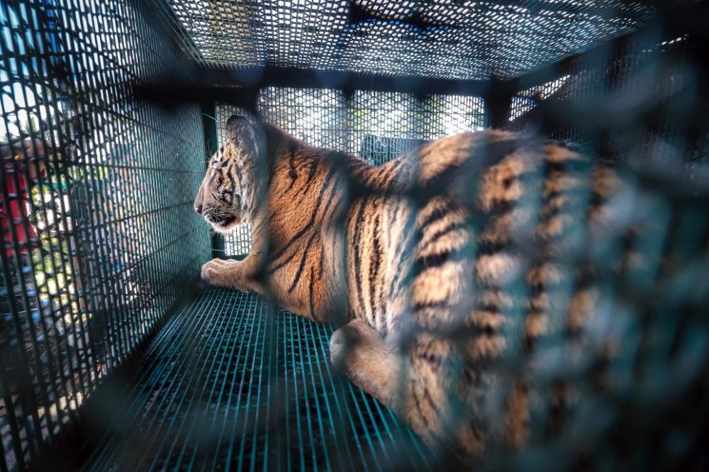 1020pme58f96e4bba3e99cb9e5b79ee28098yob-kindinge28099e99b84e8998ee8afafe997afe999b7e998b1e890bde7bd91