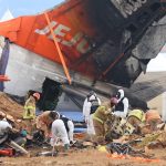 航空空难黑盒子曝光 鸟群袭击致飞行员绝望求生