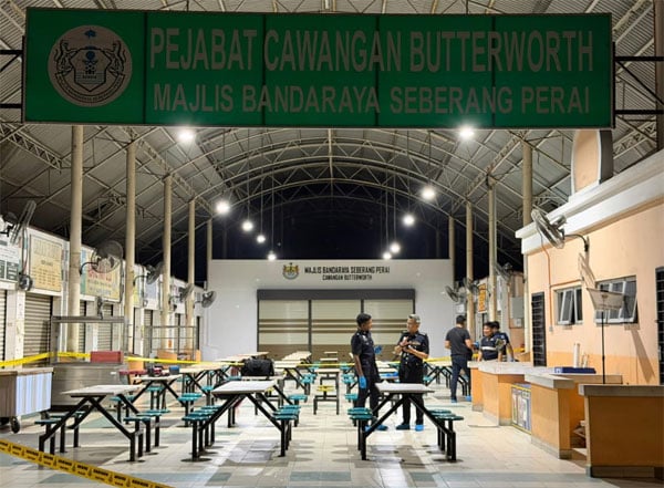 20260127pfb52c_tramp