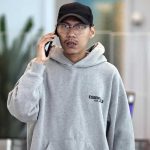 华裔男跨境买小狗 租车带回国被捕