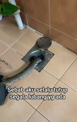 20260128pfb49e_python