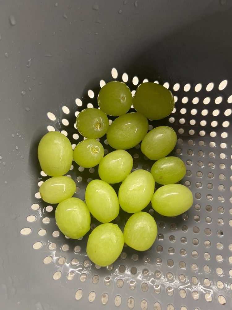 489040795_17901924303114444_3207100696219966944_n