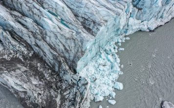 格陵兰冰层发生“黑化” 冰层正加速消融