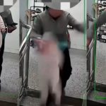 女子低头滑手机出大事 婴儿下一秒从楼梯摔下