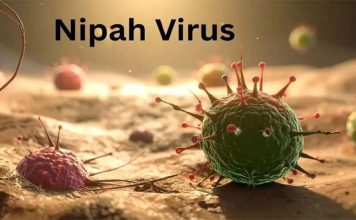 立百病毒致死率高达58% 症状似流感却极速恶化