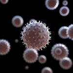 尼帕病毒未传出印度 旅游业无需过度恐慌