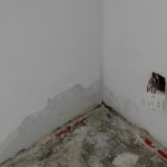 餐厅墙壁内惊现女尸 负责人遭警方逮捕