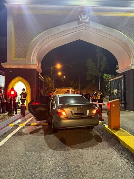 Drunk-drive-crash-palace-gate-260123-a1-noresize-450x600