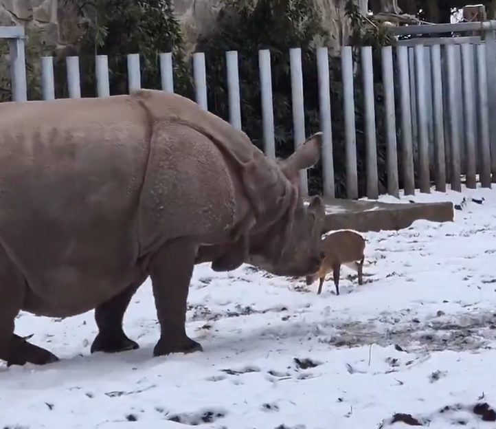 Screenshot 2026-01-11 092529