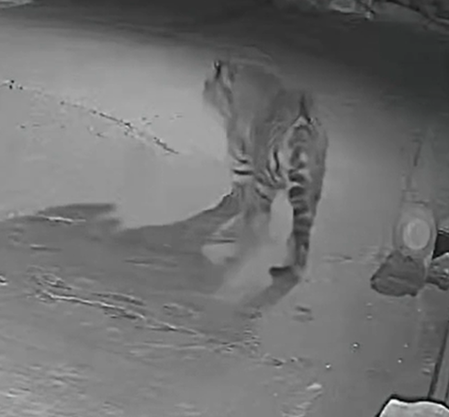 Screenshot 2026-01-28 072401