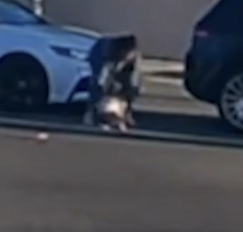 Screenshot 2026-01-30 142254