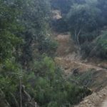 女子失踪一月变枯骨 仅穿内裤肋骨断裂颈有勒痕