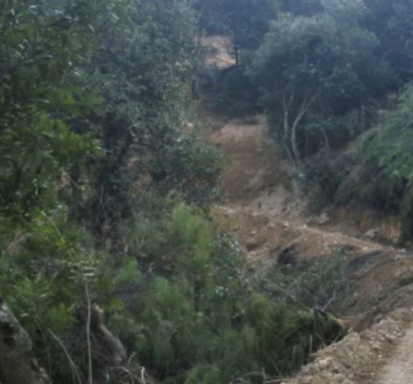 Screenshot 2026-01-31 101335