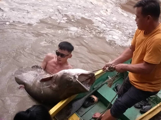 WhatsApp-Image-2026-01-26-at-12