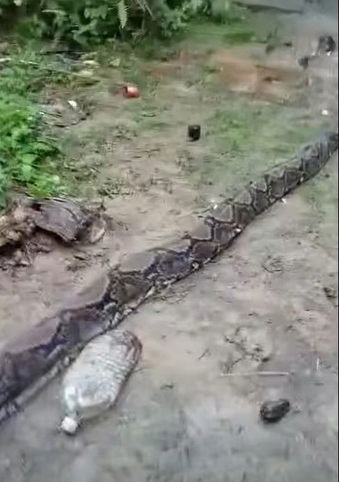 WhatsApp_Image_2026-01-09_at_6.23.20_PM