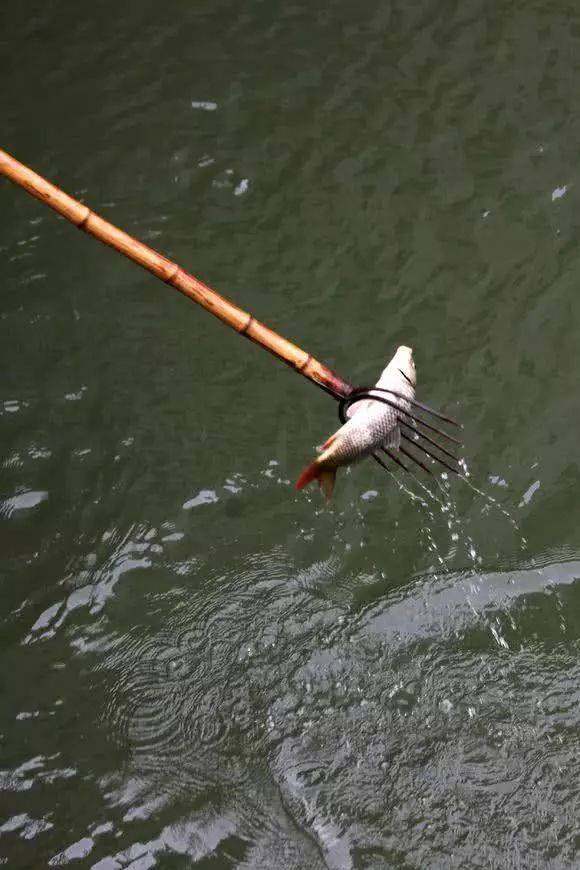 b996f8e436894957ada58933855173a0