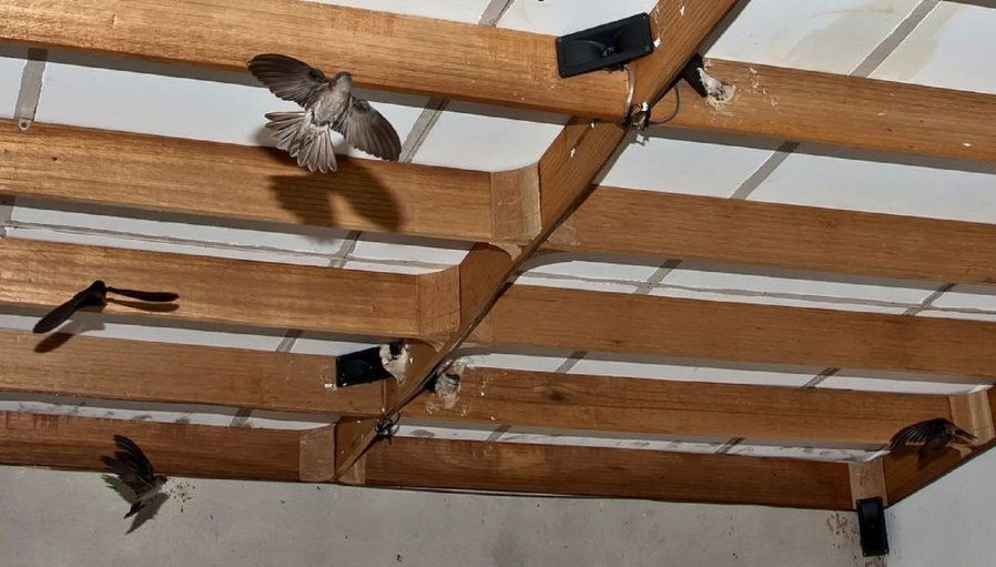 bb8d80739bc349754bc8d8ab30617ba9