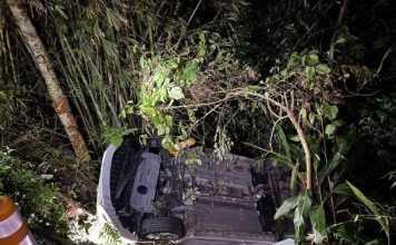 前女友为爱犬泄愤纵火 男子深夜愤怒开车追撞