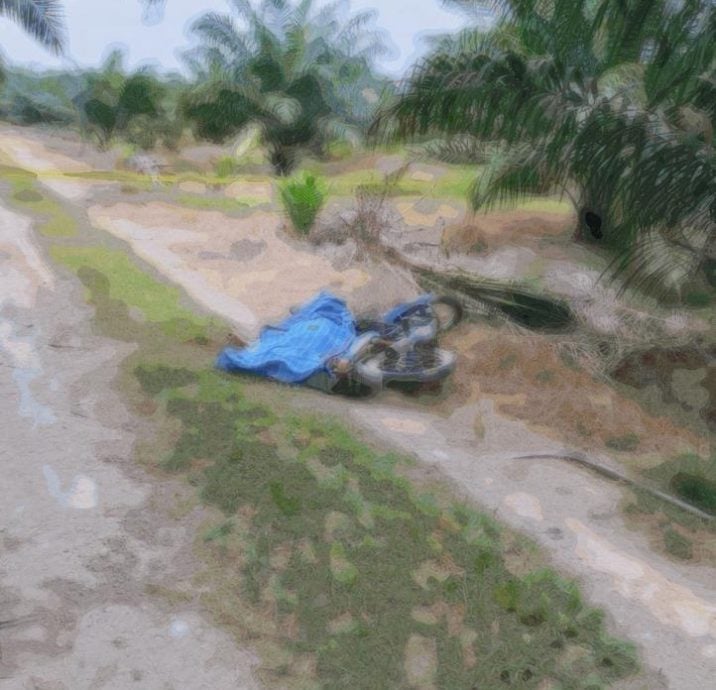 e794b7e5ad90e58092e6af99e6b2b9e6a395e59bad-e8ada6e58897e78c9de6adbbe697a0e78aafe7bdaae59ba0e7b4a0