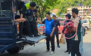 身上没有刑事伤口 男婴惊传猝死床上