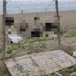 海滩惊现“5头串挂” 疑毒枭地盘之争酿祸