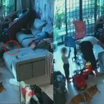 一时贪玩将头套进气球 女童当场倒地抽搐失禁