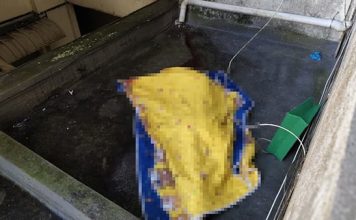 情侣争执后坠楼 华裔女子当场身亡