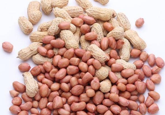 078867e0780f412ea4f798931f6d8b23